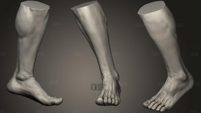 Male Foot 6 stl model for CNC